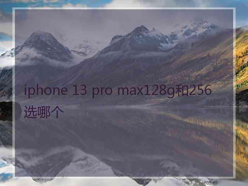 iphone 13 pro max128g和256选哪个