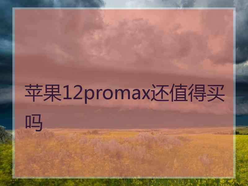 苹果12promax还值得买吗