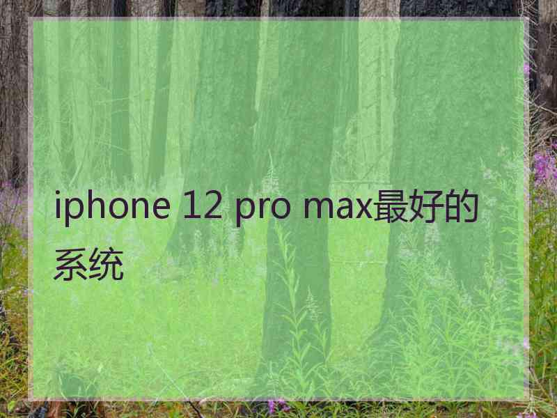 iphone 12 pro max最好的系统