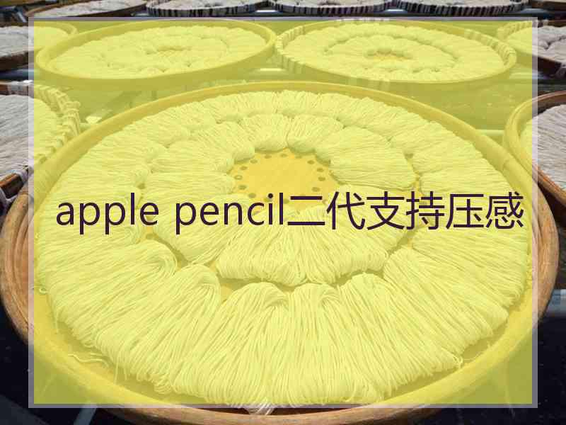 apple pencil二代支持压感