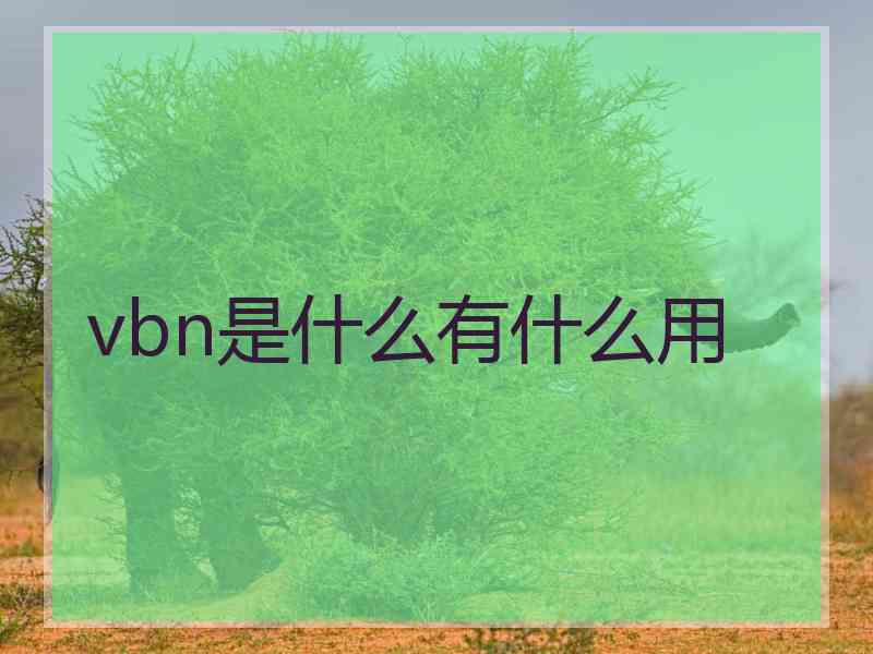 vbn是什么有什么用