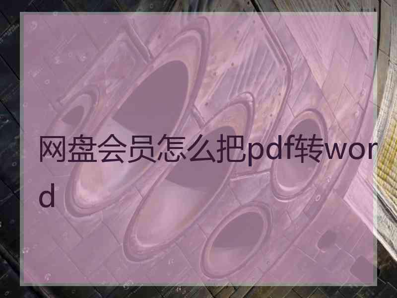 网盘会员怎么把pdf转word