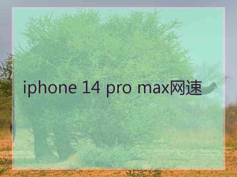 iphone 14 pro max网速