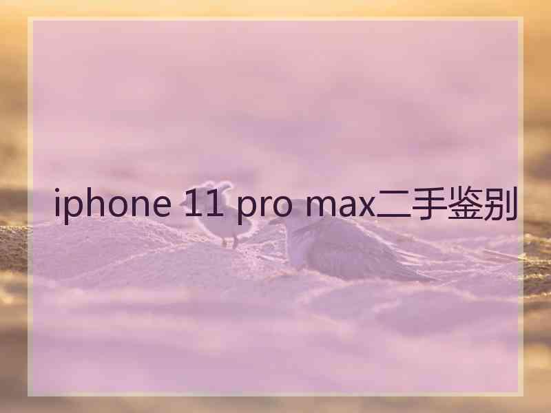 iphone 11 pro max二手鉴别