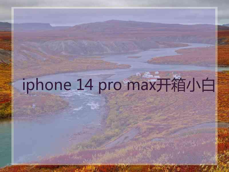 iphone 14 pro max开箱小白