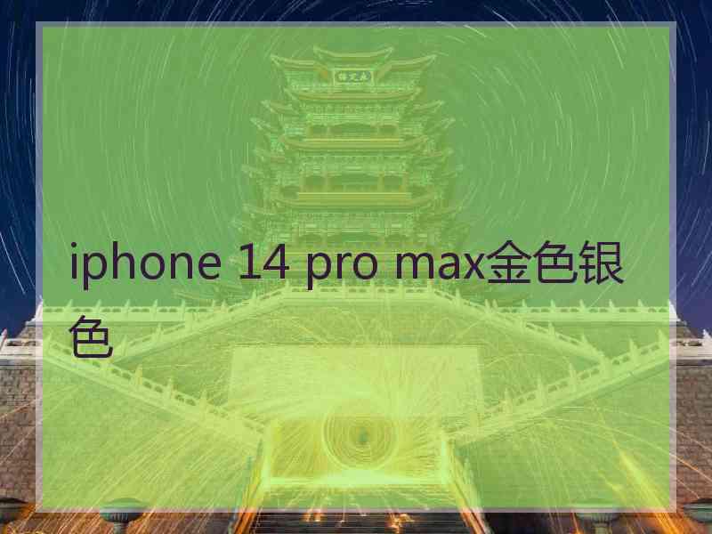 iphone 14 pro max金色银色