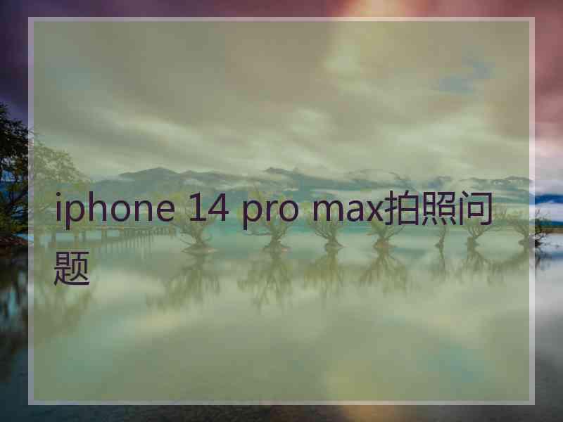 iphone 14 pro max拍照问题