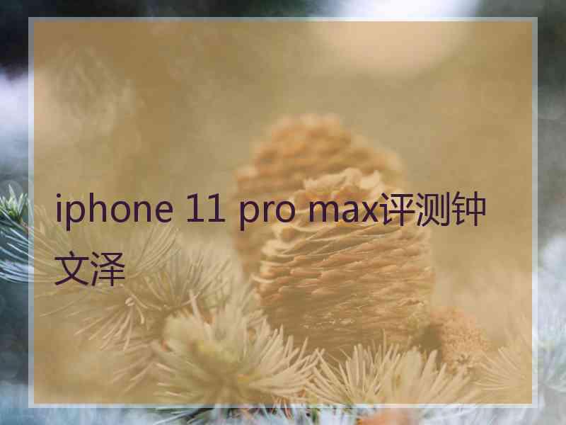 iphone 11 pro max评测钟文泽