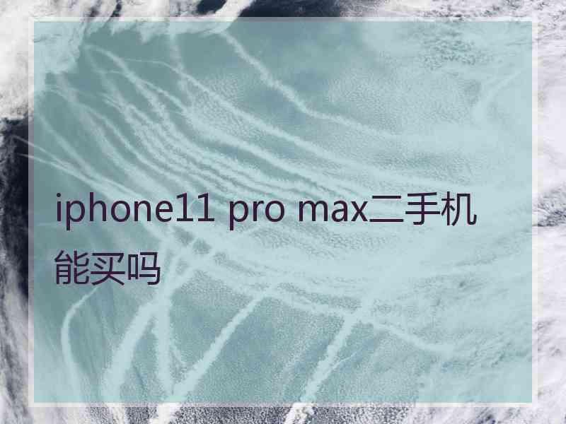 iphone11 pro max二手机能买吗