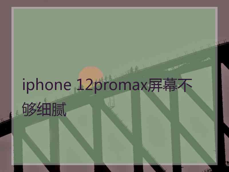 iphone 12promax屏幕不够细腻