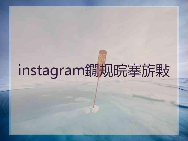 instagram鐗规晥搴旂敤