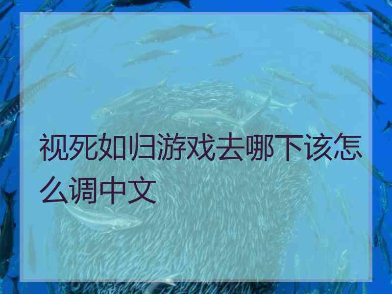 视死如归游戏去哪下该怎么调中文