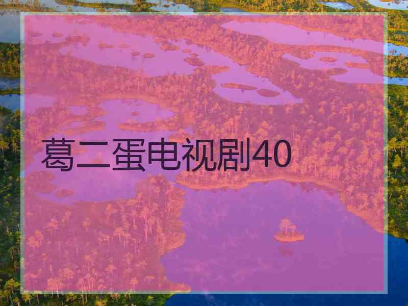 葛二蛋电视剧40