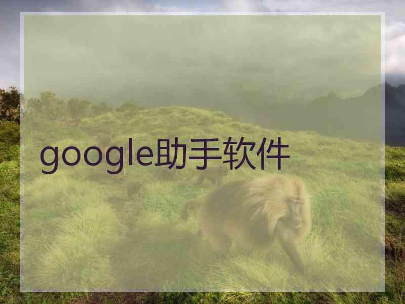 google助手软件