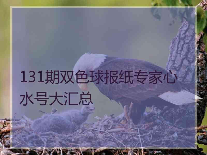 131期双色球报纸专家心水号大汇总