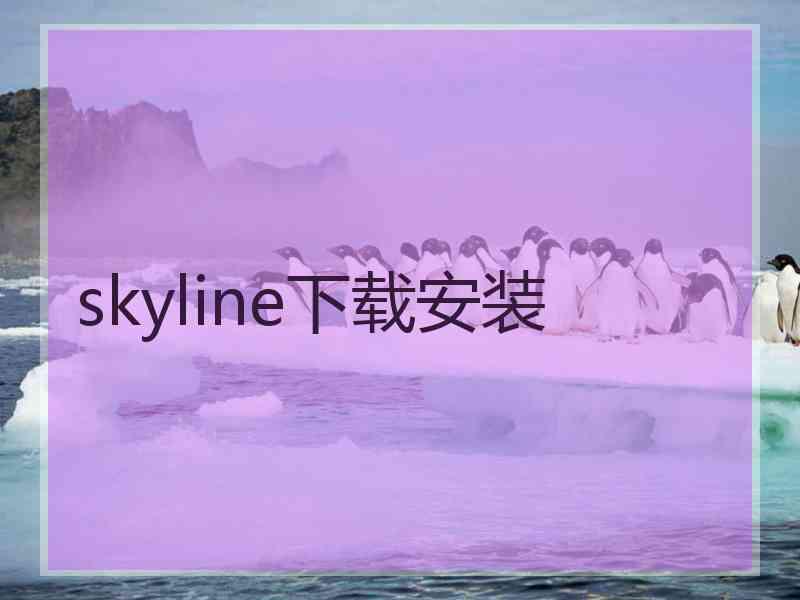 skyline下载安装