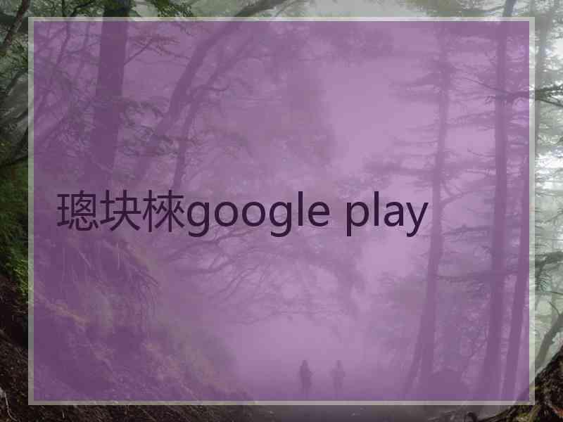 璁块棶google play