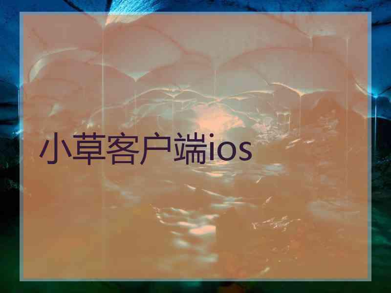 小草客户端ios