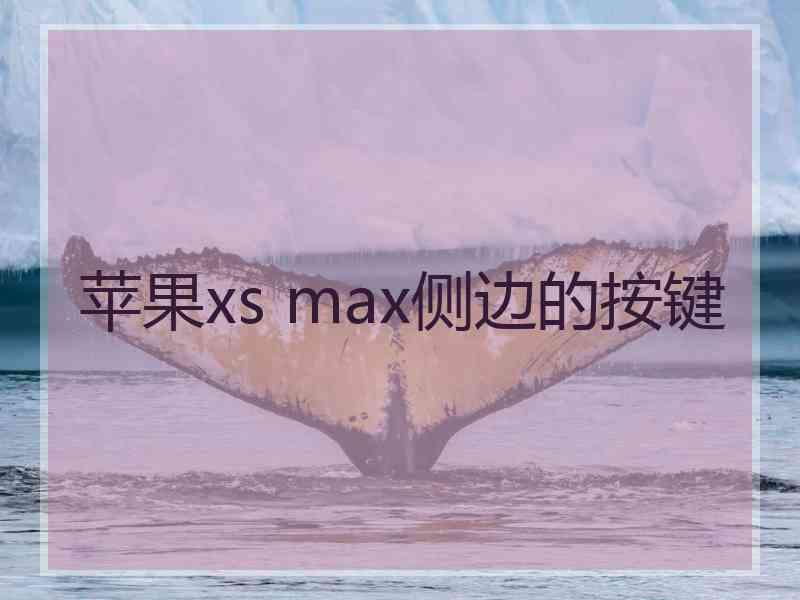 苹果xs max侧边的按键