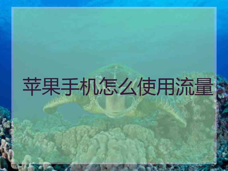 苹果手机怎么使用流量