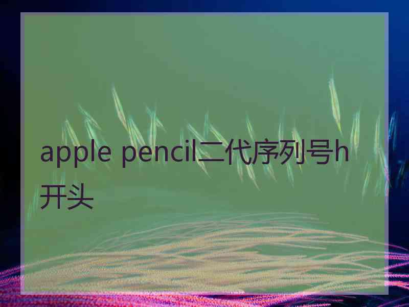 apple pencil二代序列号h开头