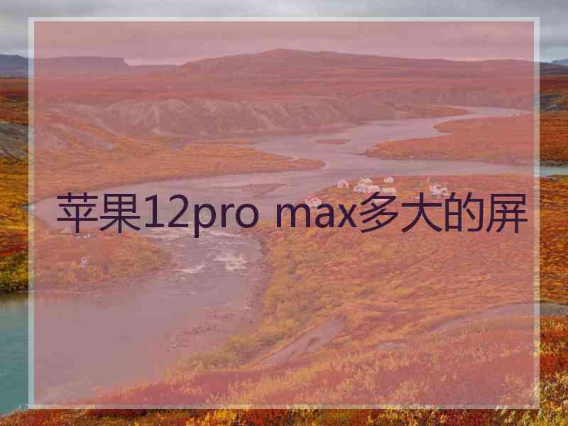 苹果12pro max多大的屏