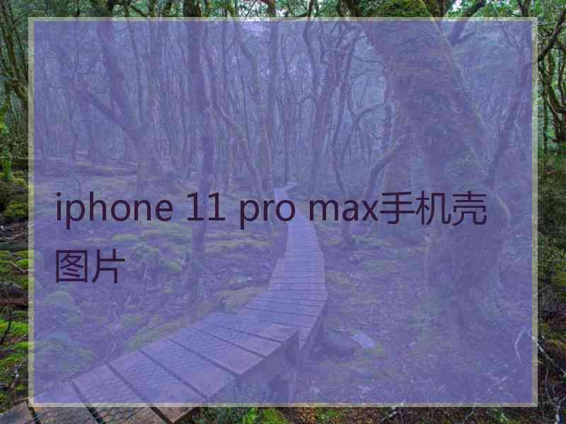 iphone 11 pro max手机壳图片