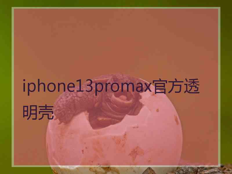 iphone13promax官方透明壳