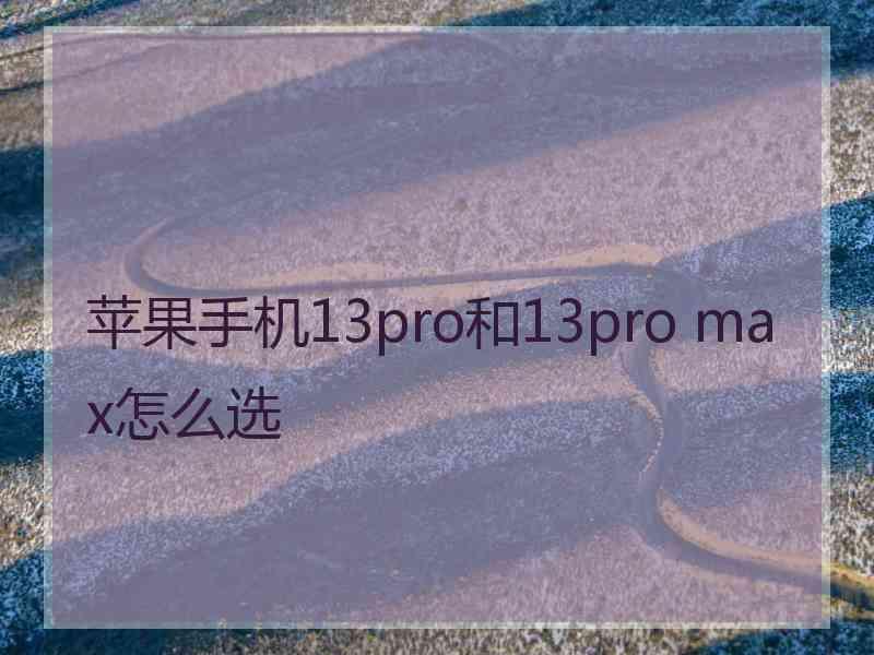 苹果手机13pro和13pro max怎么选