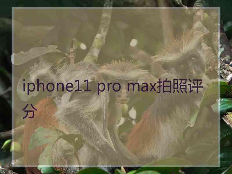 iphone11 pro max拍照评分