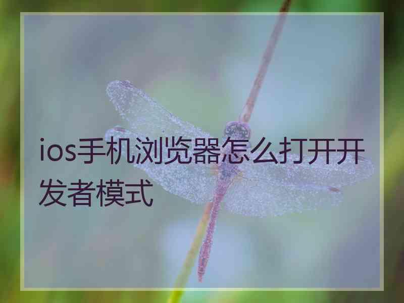 ios手机浏览器怎么打开开发者模式