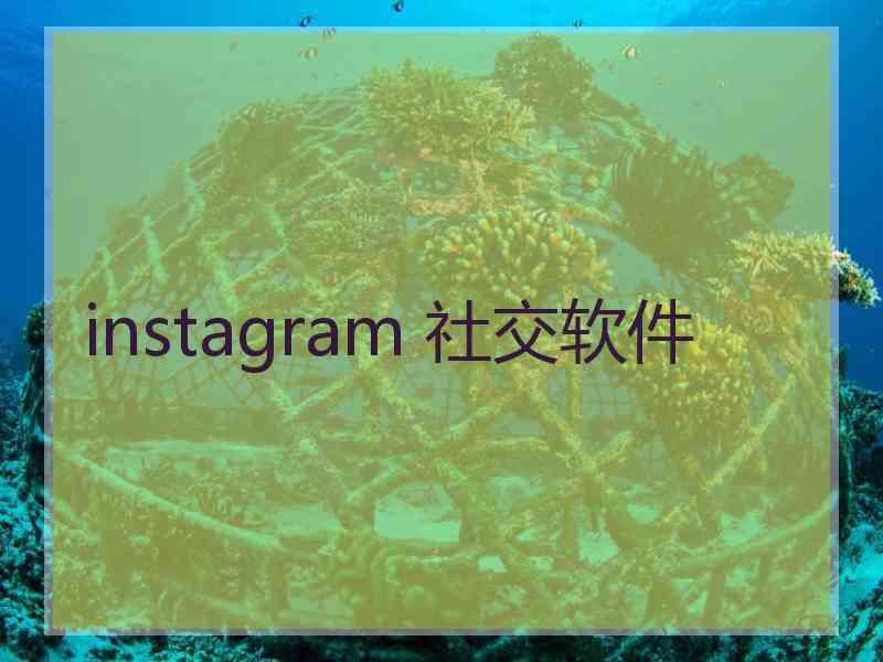 instagram 社交软件