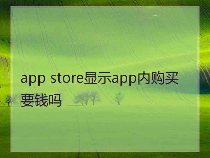 app store显示app内购买要钱吗