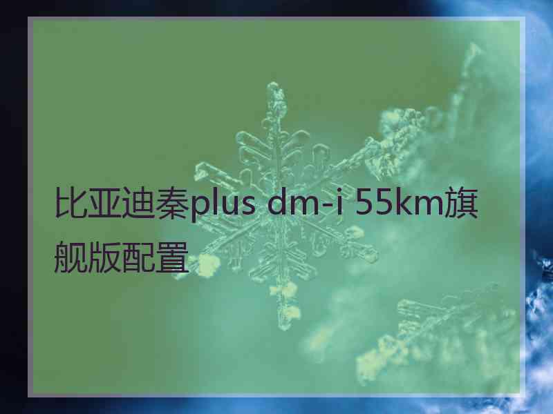 比亚迪秦plus dm-i 55km旗舰版配置