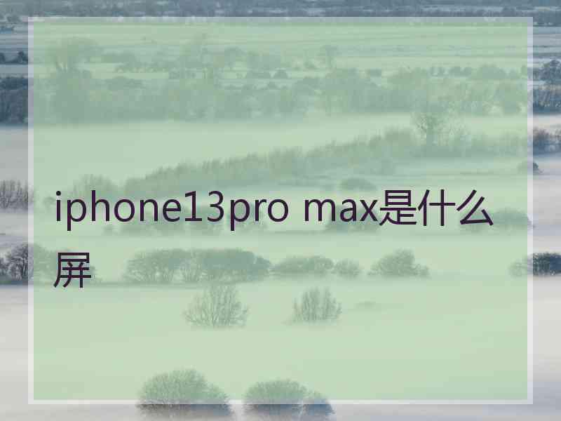 iphone13pro max是什么屏