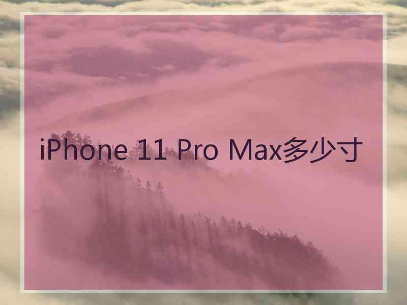 iPhone 11 Pro Max多少寸