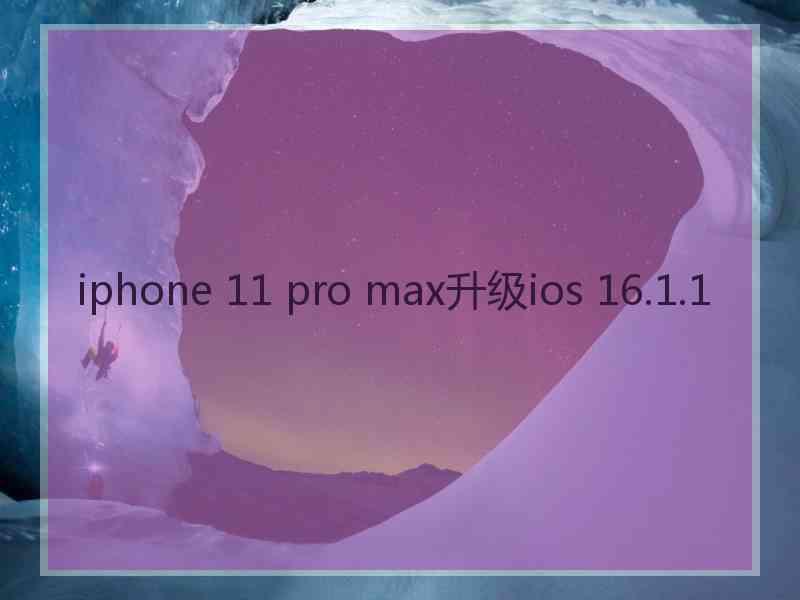 iphone 11 pro max升级ios 16.1.1