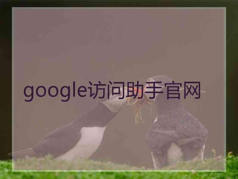 google访问助手官网