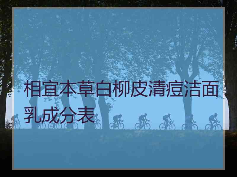 相宜本草白柳皮清痘洁面乳成分表