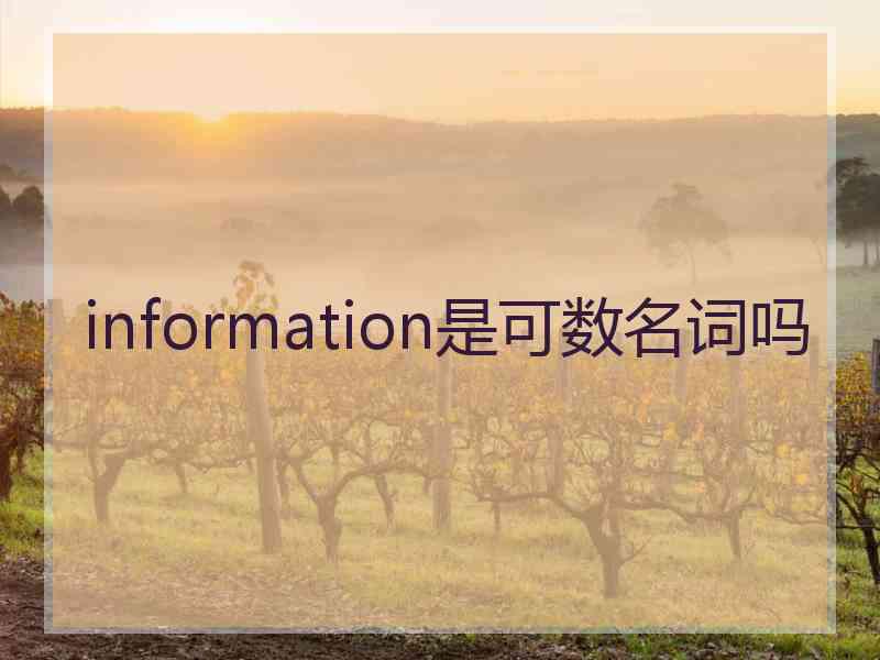 information是可数名词吗