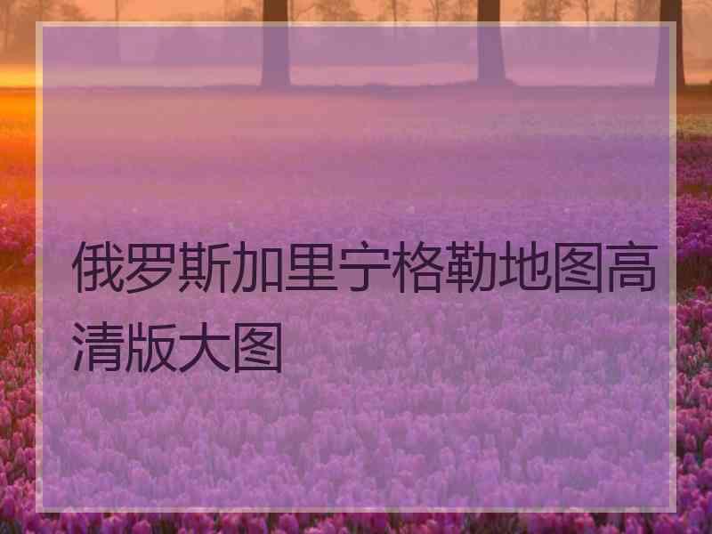 俄罗斯加里宁格勒地图高清版大图