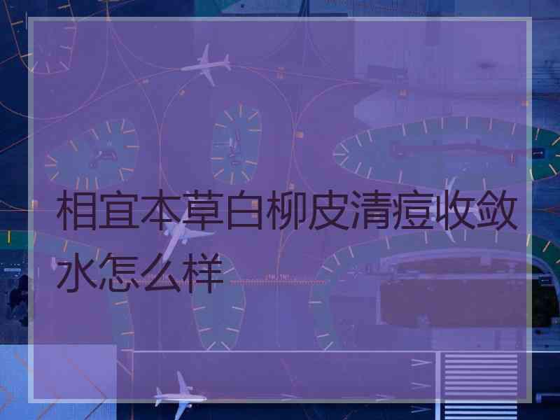 相宜本草白柳皮清痘收敛水怎么样