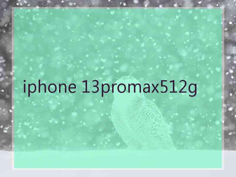 iphone 13promax512g