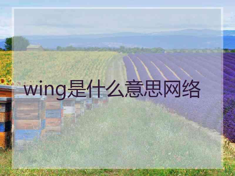 wing是什么意思网络