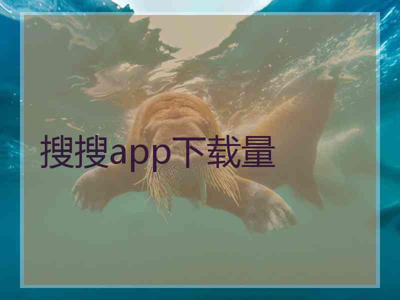 搜搜app下载量