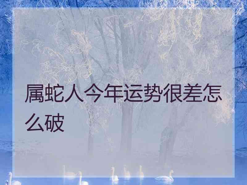 属蛇人今年运势很差怎么破