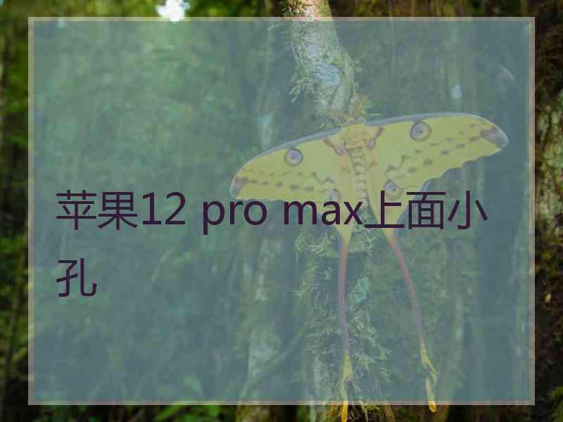 苹果12 pro max上面小孔