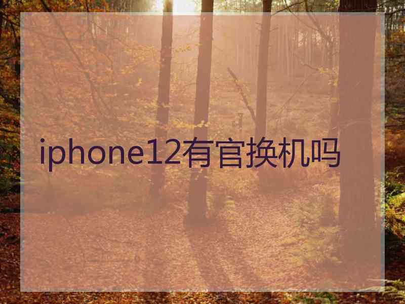 iphone12有官换机吗