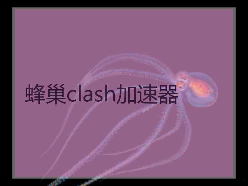 蜂巢clash加速器