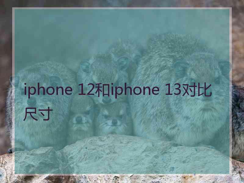 iphone 12和iphone 13对比尺寸